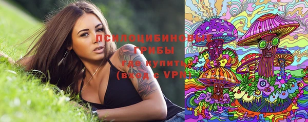 молекула духа Краснослободск