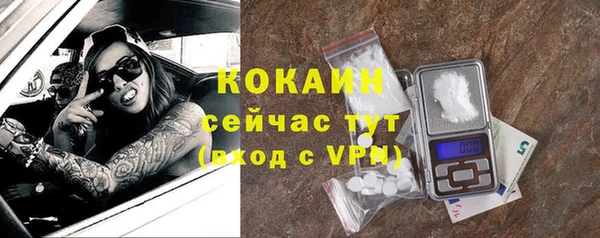 крисы Лагань