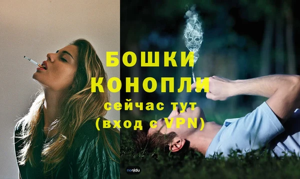 молекула духа Краснослободск